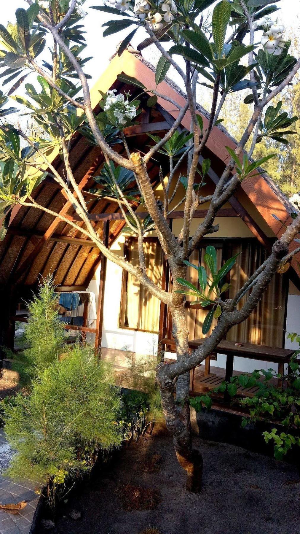Pondok Windy Gili Trawangan Buitenkant foto